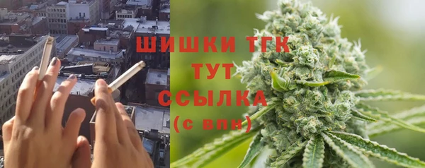 прущие крисы Беломорск